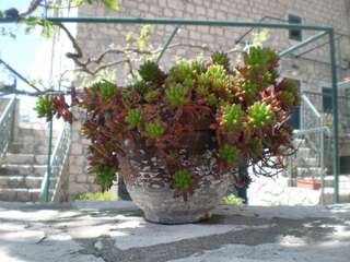 Дома для отпуска Villa Lidija Будва Дом с 3 спальнями и террасой-68