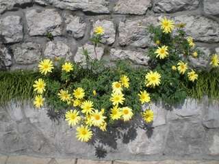 Дома для отпуска Villa Lidija Будва Дом с 3 спальнями и террасой-69