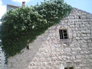 Дома для отпуска Villa Lidija Будва Дом с 3 спальнями и террасой-73