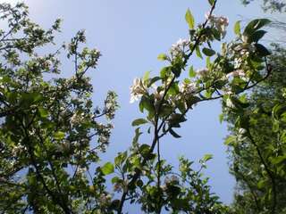 Дома для отпуска Villa Lidija Будва Дом с 3 спальнями и террасой-75